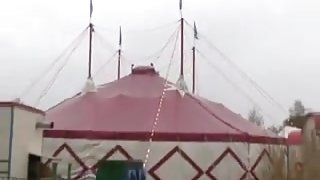 Circus Sex